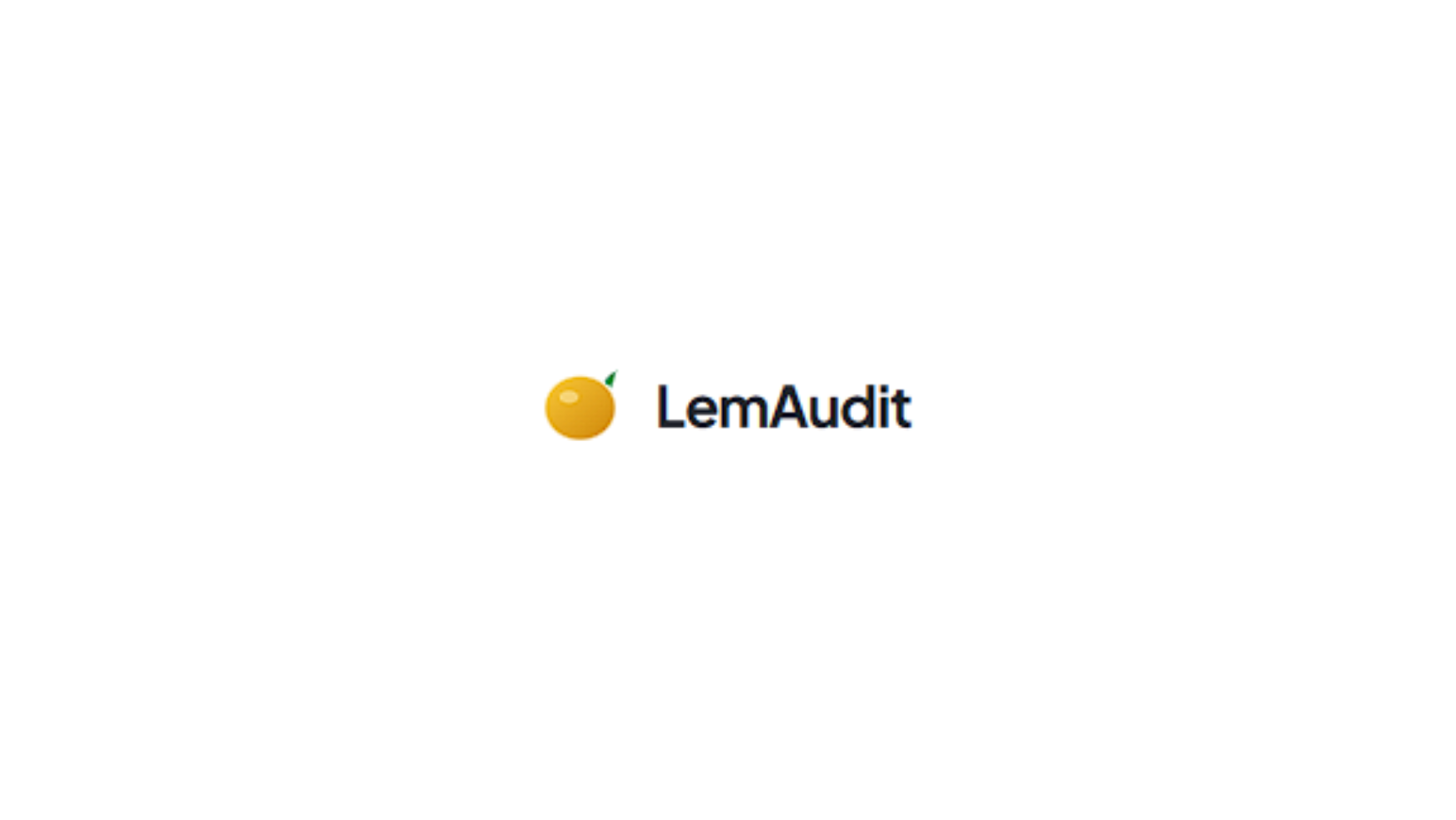LemAudit screenshot